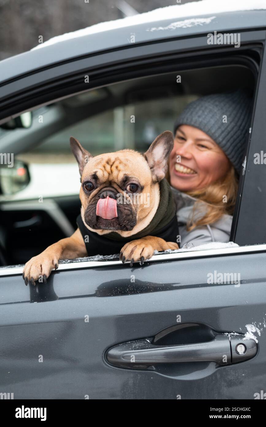 Une femme heureuse dans un chapeau d'hiver est assise dans une voiture avec un bouledogue français jetant un coup d'œil par la fenêtre, langue dehors, profitant d'une joyeuse journée enneigée. Banque D'Images