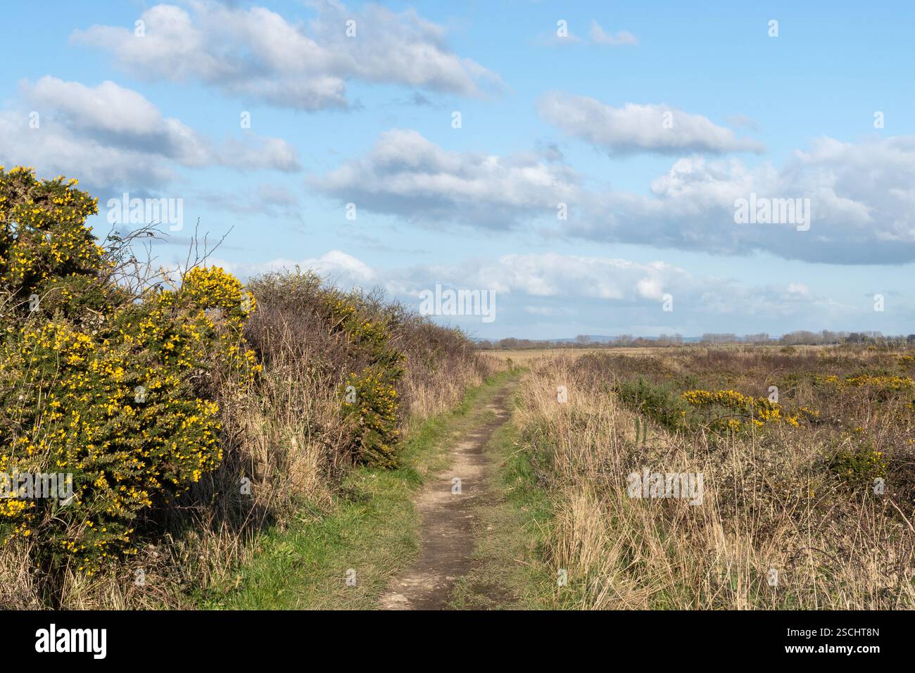RSPB Pagham Harbour nature Reserve, West Sussex, Angleterre, Royaume-Uni, SSSI avec un habitat côtier important pour les oiseaux et autres espèces sauvages Banque D'Images