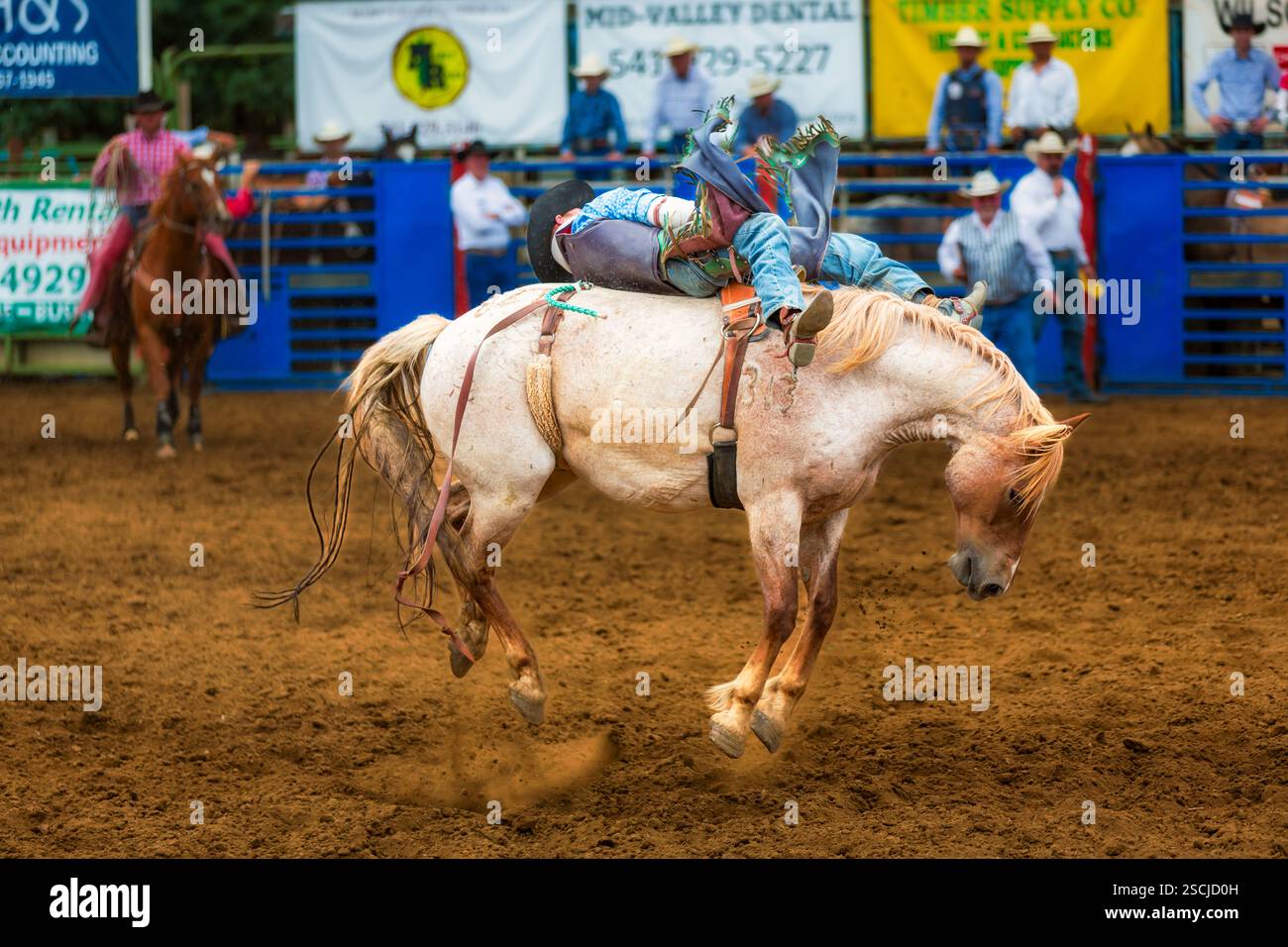 Bareback bronc concurrence, rodéo Philomath, Oregon, USA Banque D'Images