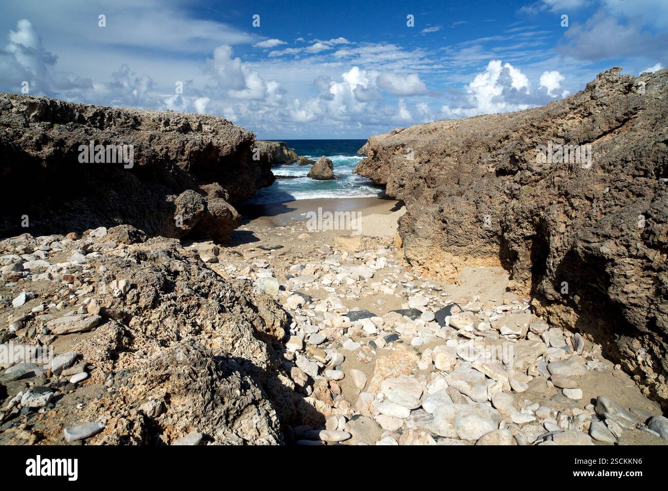 Paysage côtier d'Aruba Banque D'Images