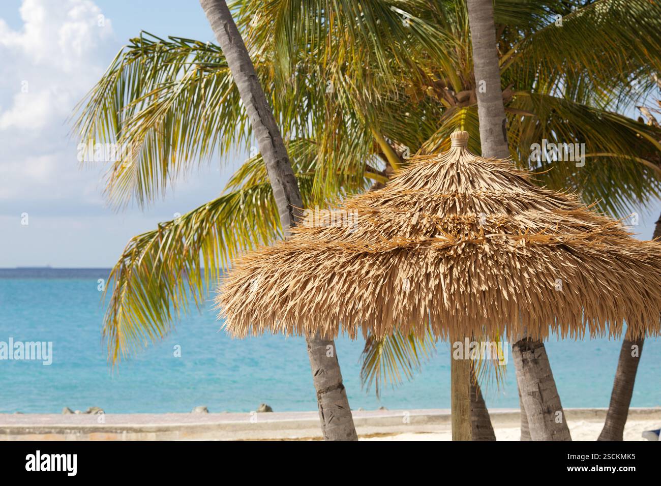 escapade tropicale Banque D'Images