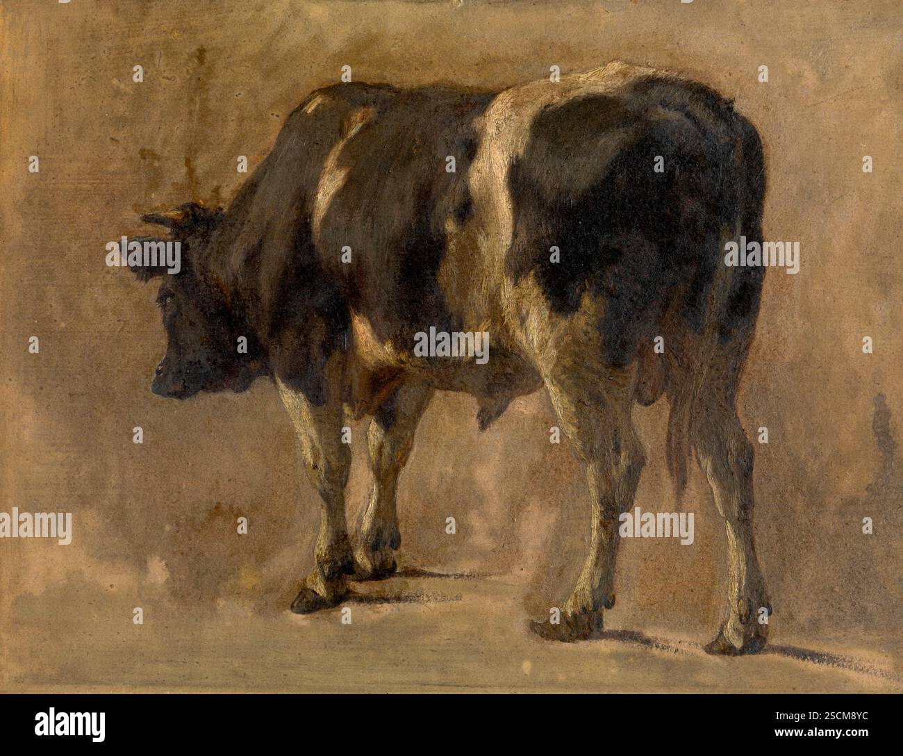 Bull, c1870. Banque D'Images