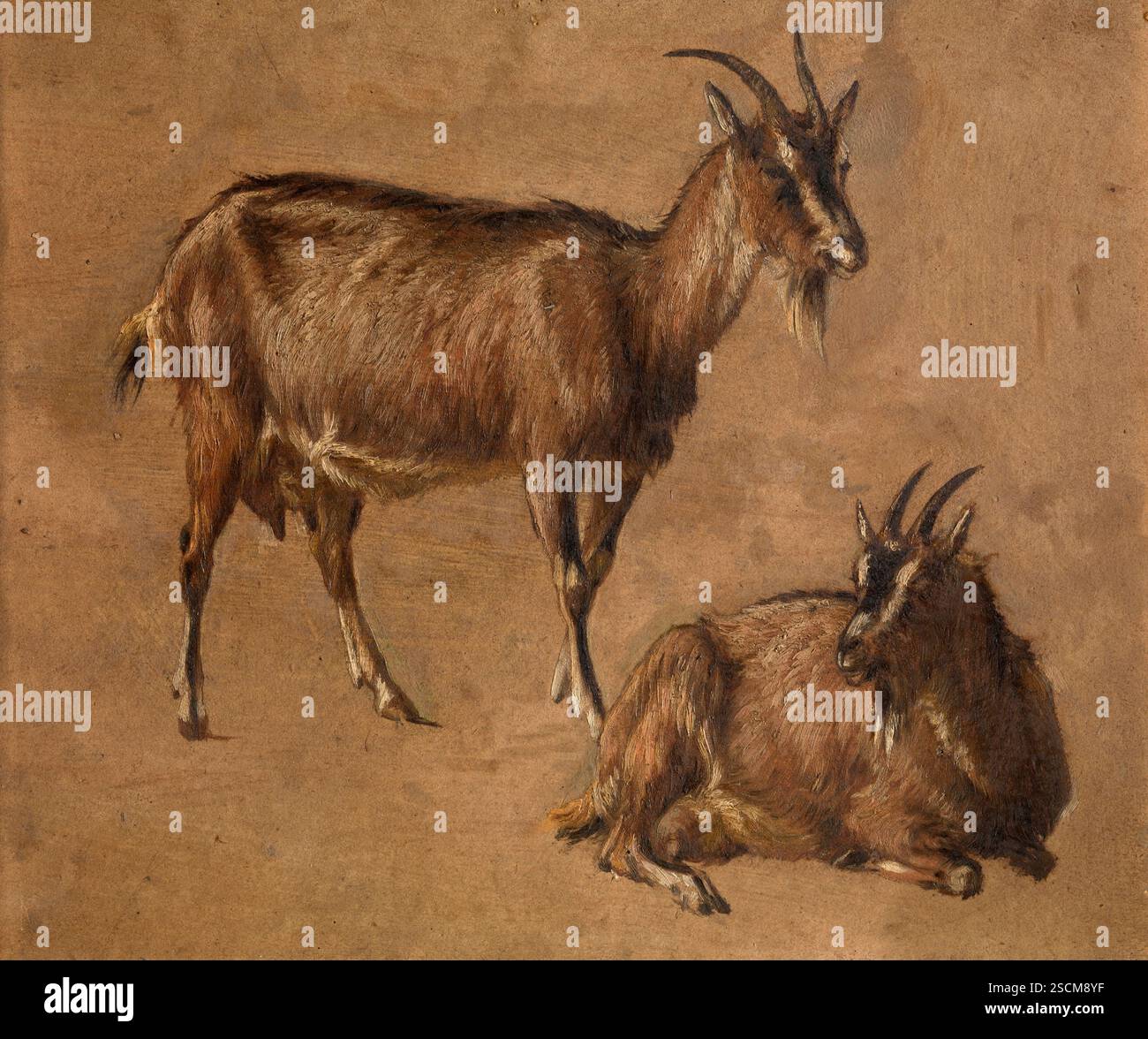 Chèvres, c1870. Banque D'Images