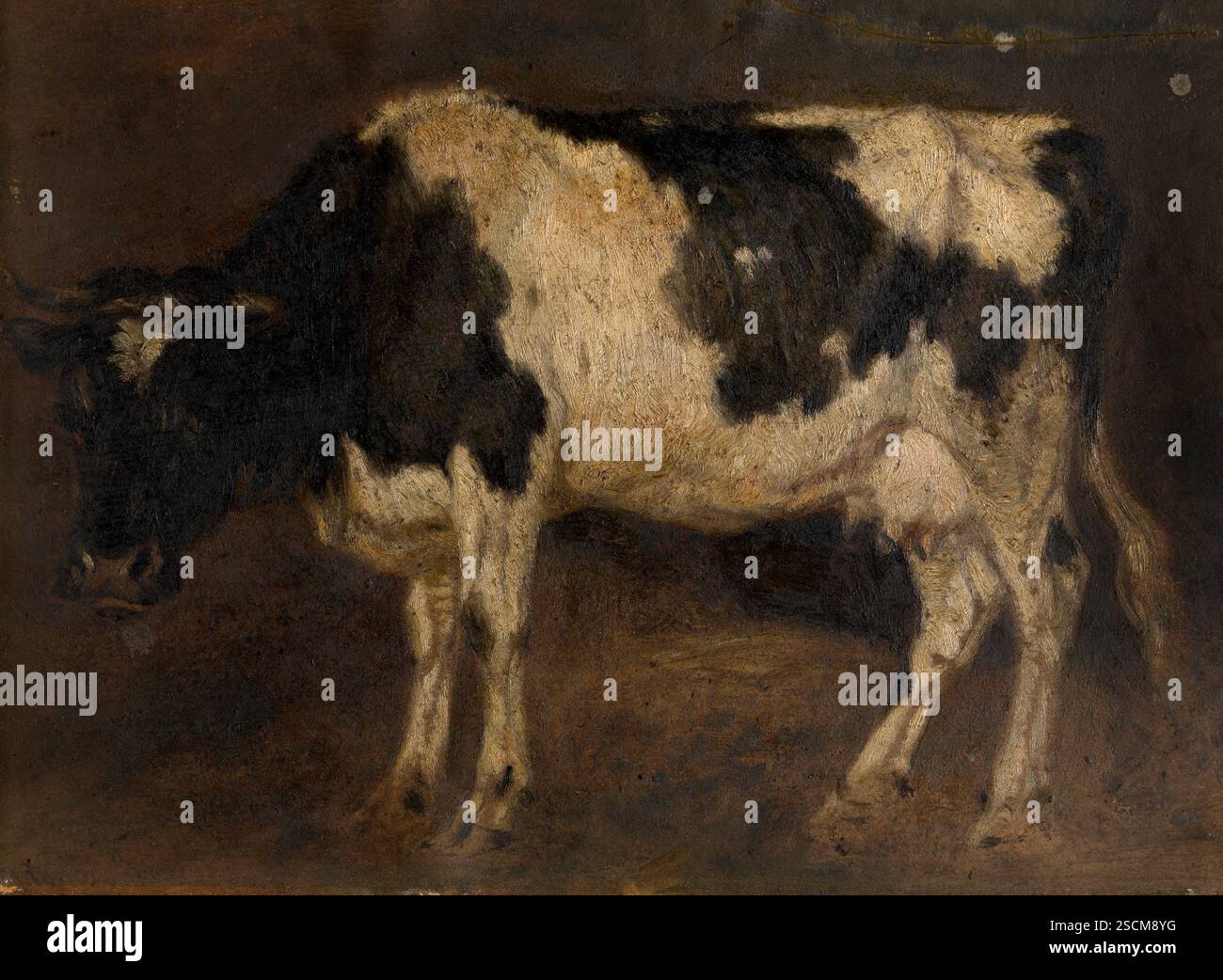 Vache, c1870. Banque D'Images