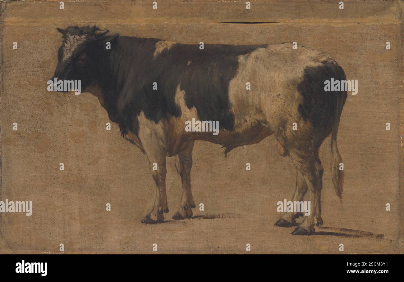 Bull, c1870. Banque D'Images