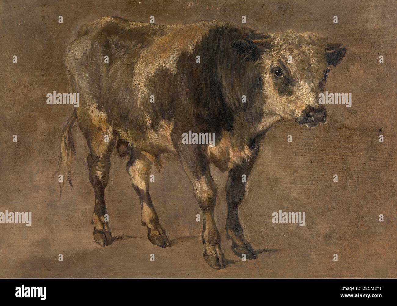 Bull, c1870. Banque D'Images