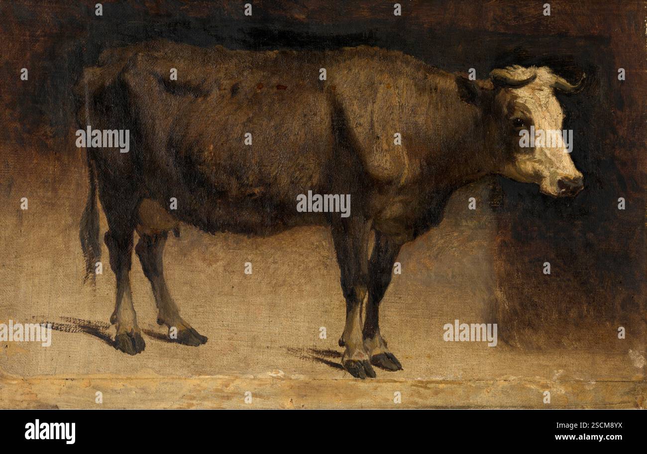 Vache, c1870. Banque D'Images