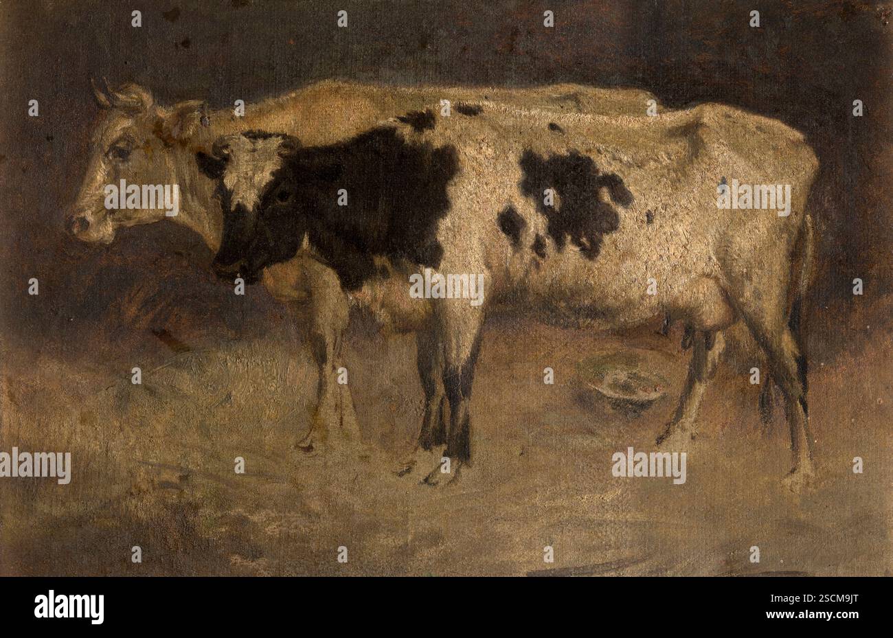 Vaches, c1870. Banque D'Images