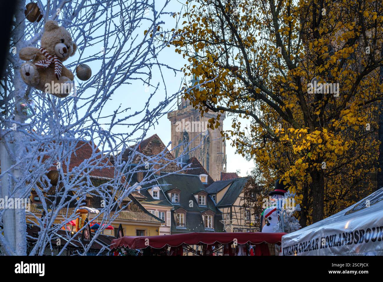 Marché de Noël dans les ruelles de la vieille ville historique et Saint Martin's Minster en arrière-plan, Colmar, département du Haut-Rhin, Alsace, France. Banque D'Images