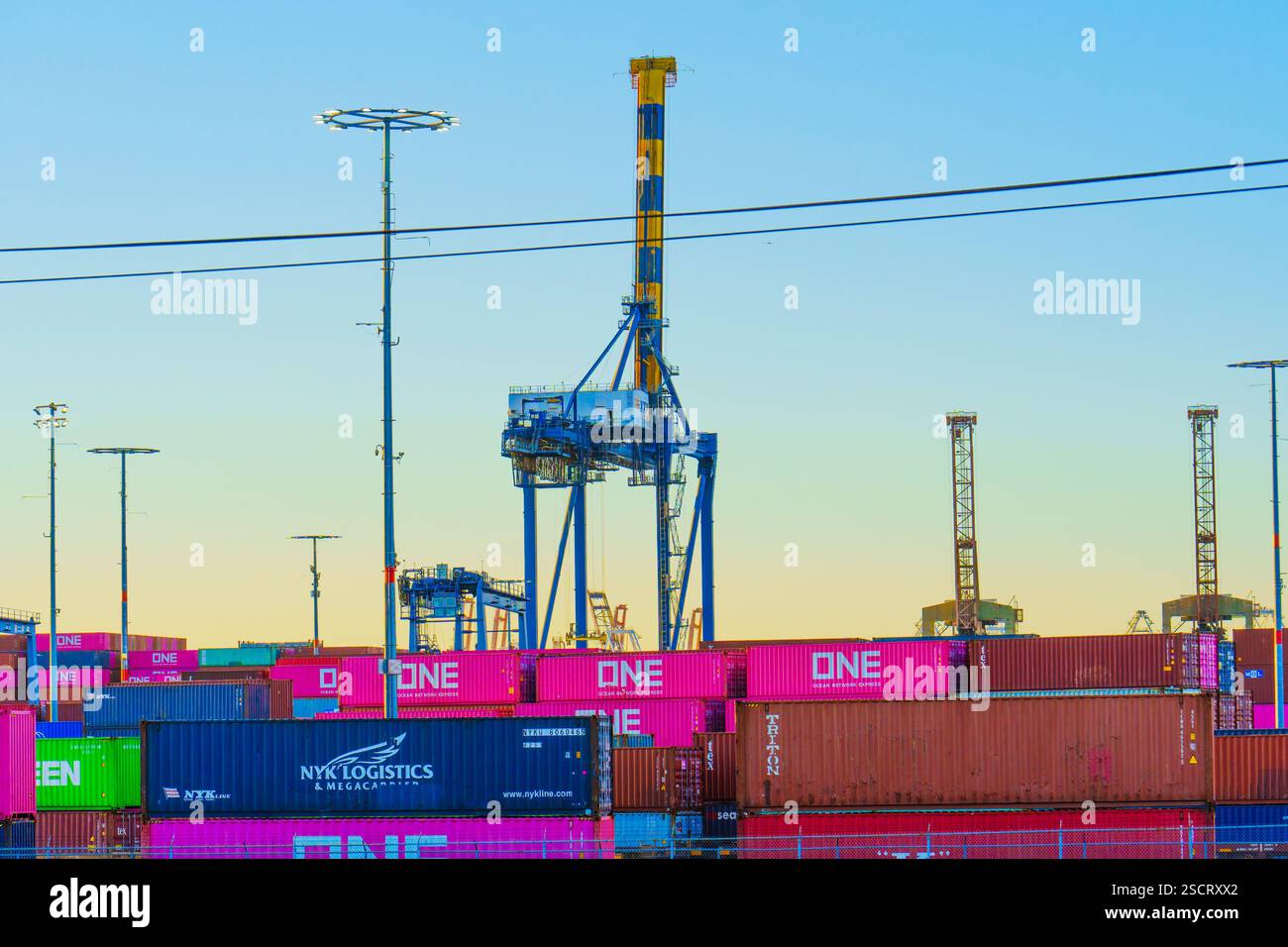 Long Beach, Californie - 15 janvier 2025 : gros plan des grues maritimes et des conteneurs vibrants au port de long Beach, mettant en évidence la logistique et le trans Banque D'Images