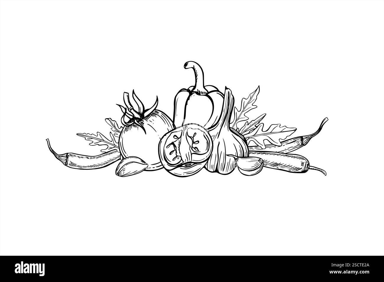 Légumes monochromes pour les plats mexicains traditionnels illustration vectorielle peinte par des encres noires. Tomates, poivre, ail, feuilles de roquette, jalapeno Illustration de Vecteur