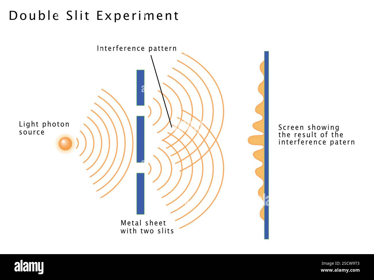 Illustration d'une expérience à double fente, démontrant que la lumière (photons) se comporte à la fois comme une onde et comme une particule. Lorsque la lumière traverse la double fente, elle forme deux motifs d'ondes qui se rejoignent et peuvent être vus à l'écran. Illustration. Banque D'Images