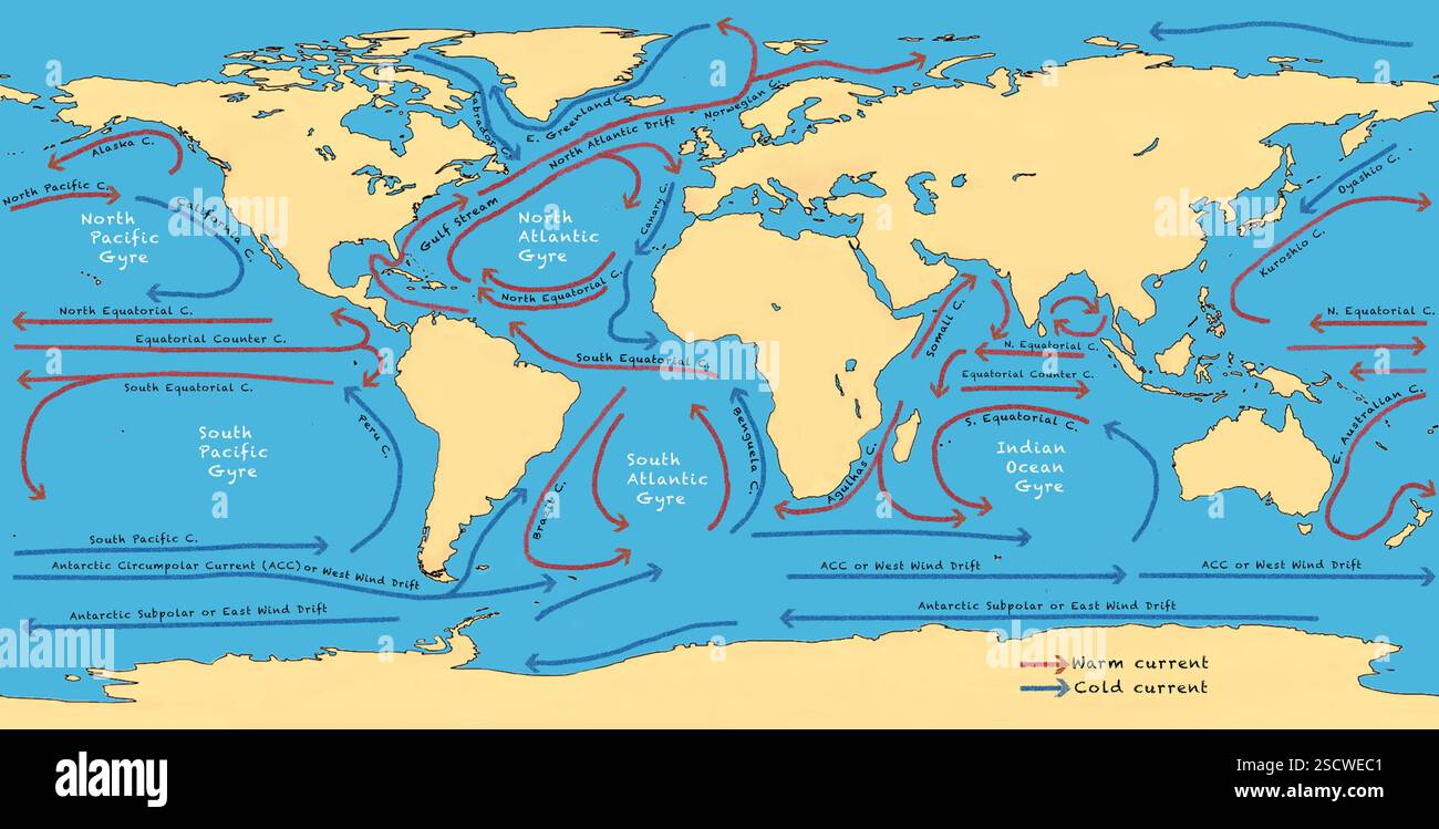 Une carte montrant les courants chauds et froids circulant dans les océans du monde, avec des gyres majeurs étiquetés. Banque D'Images