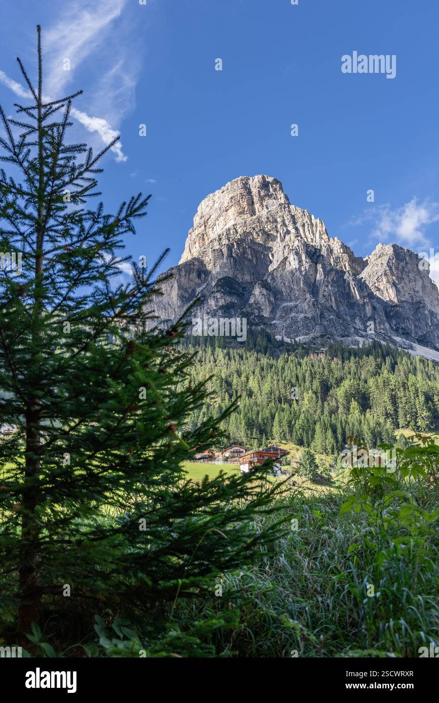 Vue verticale du pic Sassongher, encadré par un pin et une végétation luxuriante, avec des chalets en bois nichés dans le paysage alpin ci-dessous Banque D'Images