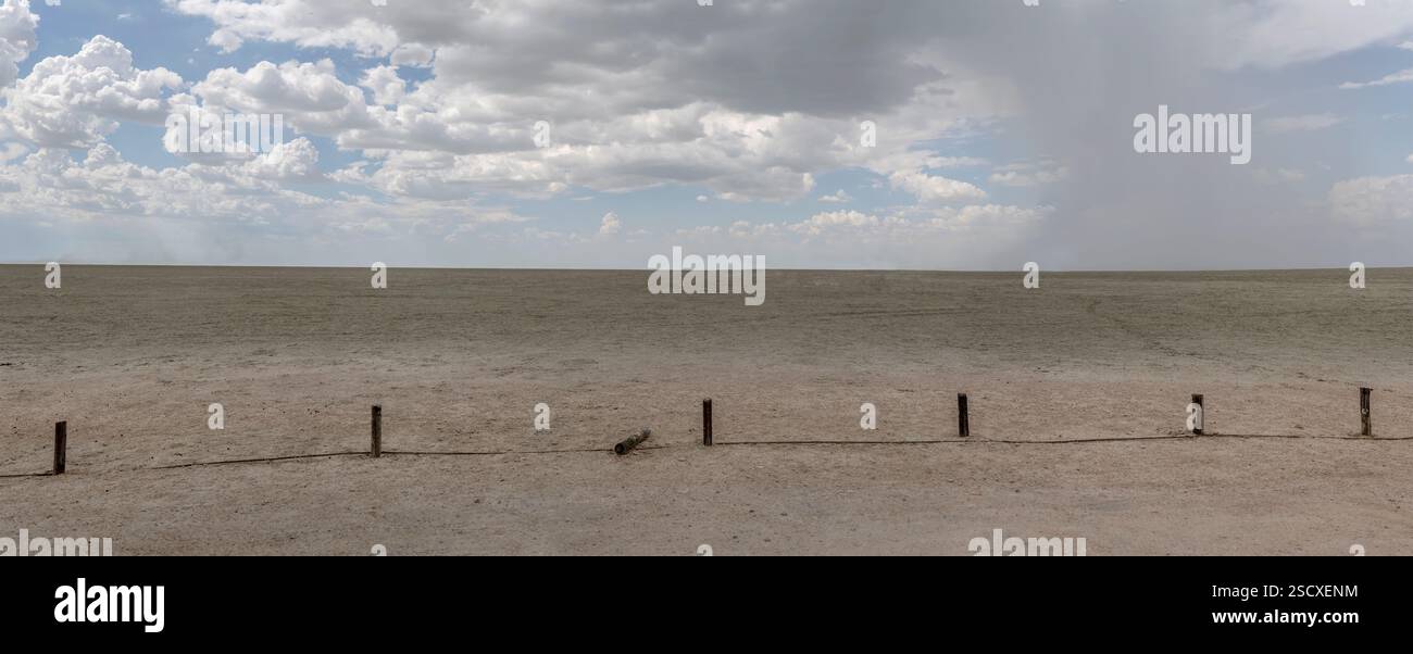 Paysage avec Etosha pan, tourné dans une lumière brillante de fin de printemps sous des nuages orageux à Lookout point, Namibie, Afrique Banque D'Images