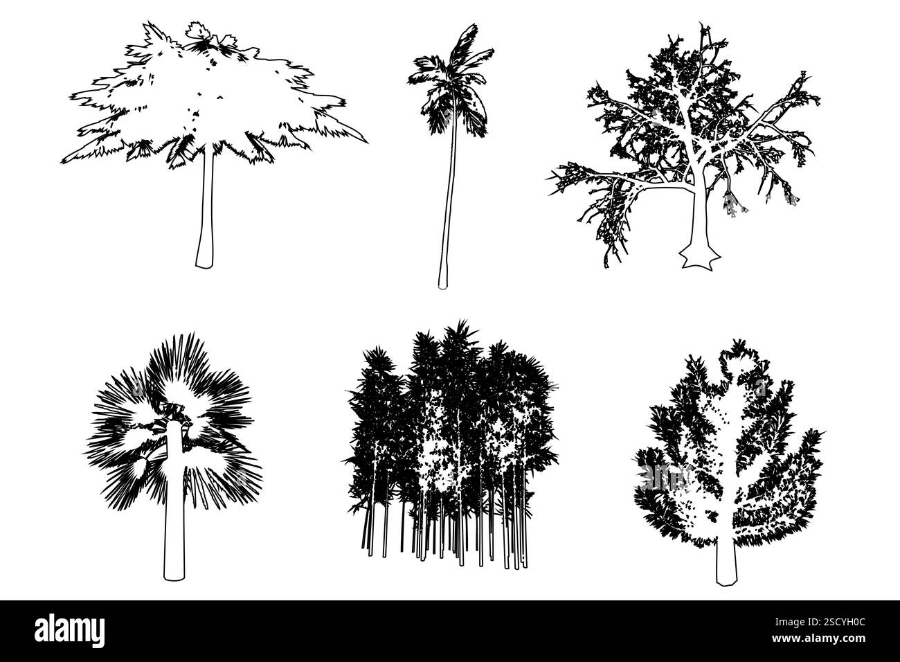 Ensemble ou collection d'arbres comme une silhouette de dessin de ligne noire sur fond blanc. Concept ou vecteur conceptuel pour la nature, la planète Illustration de Vecteur