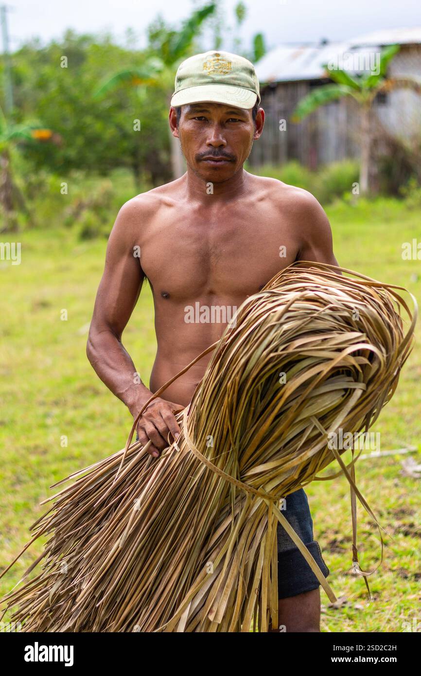 Un homme rassemble des feuilles de pandanus coupées et séchées pour les tisser dans des tapis locaux à Bohol, aux Philippines, soutenant une industrie artisanale communautaire vitale Banque D'Images Un homme rassemble des feuilles de pandanus coupées et séchées pour les tisser dans des tapis locaux à Bohol, aux Philippines, soutenant une industrie artisanale communautaire vitale Banque D'Images