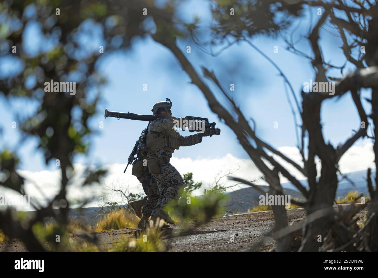 Les Marines américains avec le 3e bataillon anti-aérien littoral, le 3e régiment littoral des Marines, la 3e division des Marines, courent vers un point de tir avec un Stinger FIM-92 lors d'un exercice d'entraînement à Pohakuloa Training Area, Hawaii, le 25 janvier 2025. L'exercice d'entraînement qui a lieu à la ZEP reflète un exercice d'entraînement au niveau du service en établissant les conditions pour que la 3e MLR et ses bataillons subordonnés se rendent aux Philippines pour appuyer l'exercice Balikatan 25 et Kamandag 9 cet été. (Photo du corps des Marines des États-Unis par le sergent Jacqueline C. Parsons) Banque D'Images