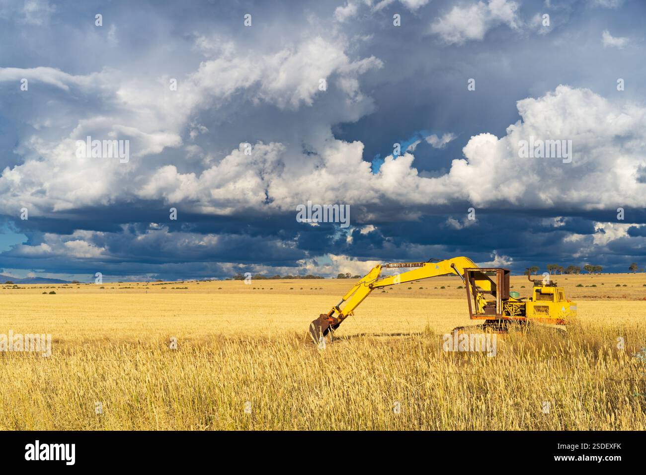 De spectaculaires nuages orageux survolent un champ de creuset d'excision sur une terre agricole à Moolort, dans le centre de Victoria, en Australie. Banque D'Images