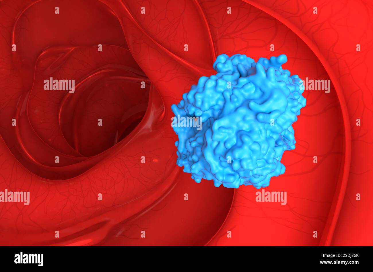 Aspirine pour la prévention du cancer colorectal - gros plan illustration 3D. Banque D'Images