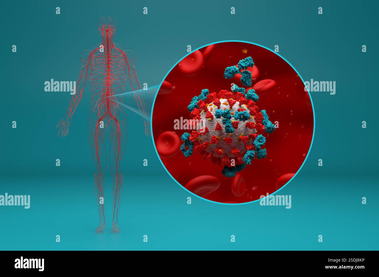 Corona virus (covid-19) vue isométrique illustration 3D. Banque D'Images