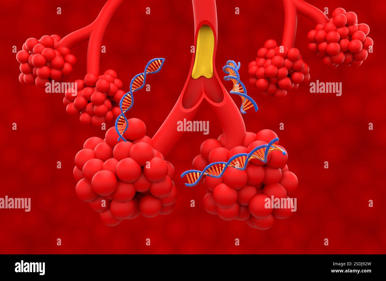 Thérapie génique dans la mucoviscidose (CF) - vue isométrique illustration 3D. Banque D'Images