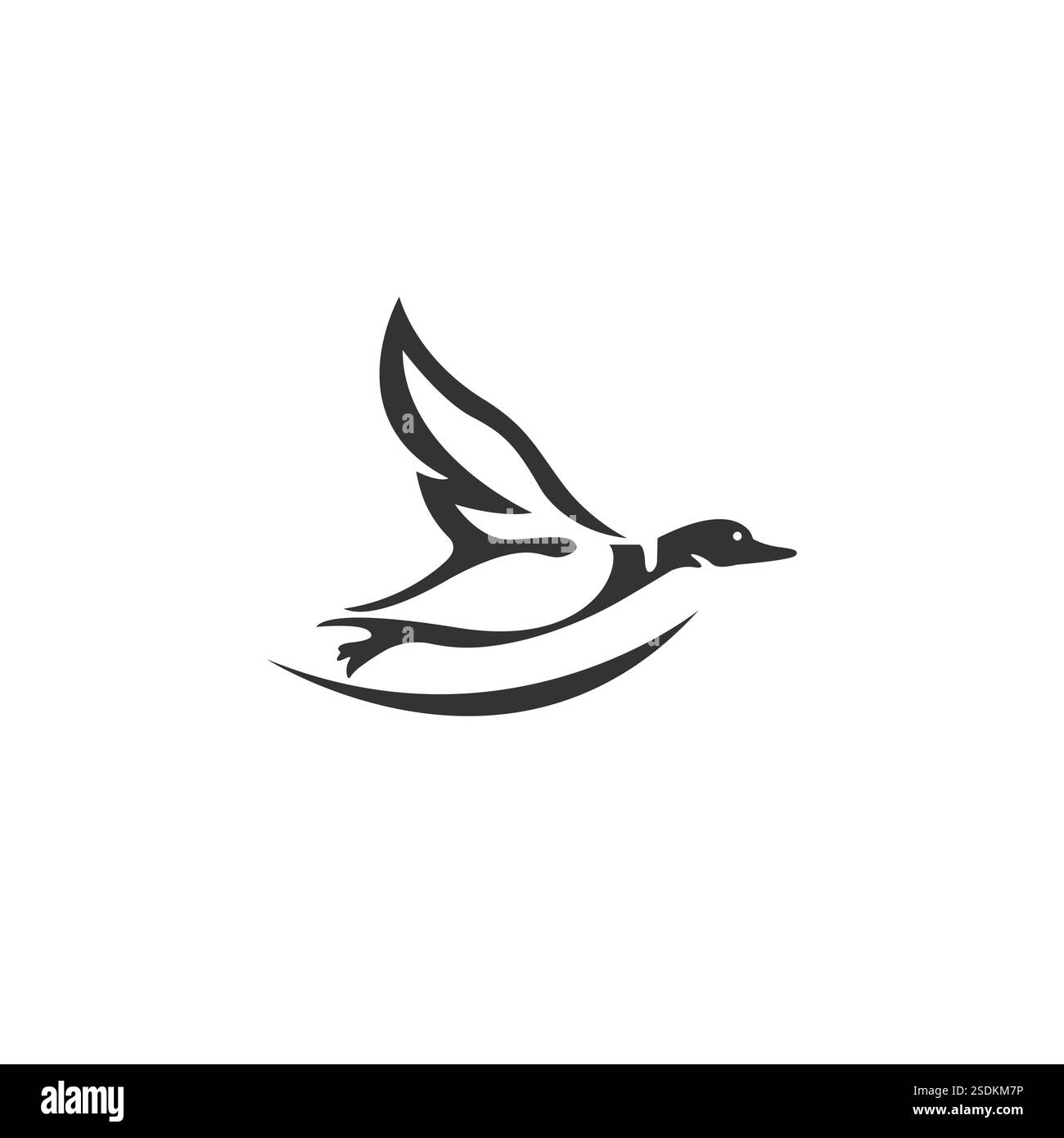 Vecteur de conception de canard sauvage volant sur fond blanc. Animaux sauvages. Oiseau. Illustration vectorielle en couches facilement modifiable. Illustration de Vecteur