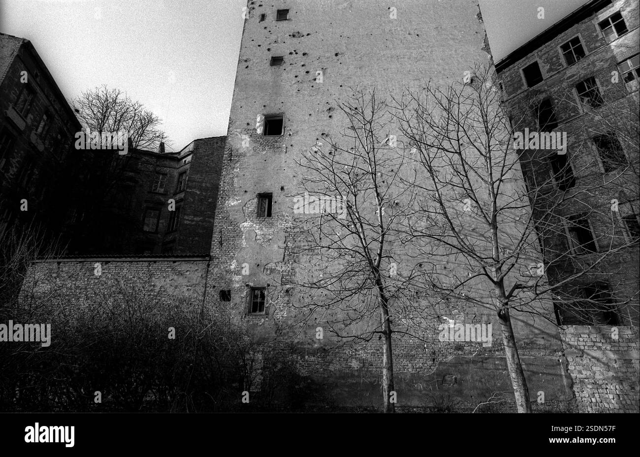 Allemagne, Berlin, 23 décembre 1991, pignon de la maison squattée sur Senefelderplatz (Kollwitzstrasse), Europe Banque D'Images