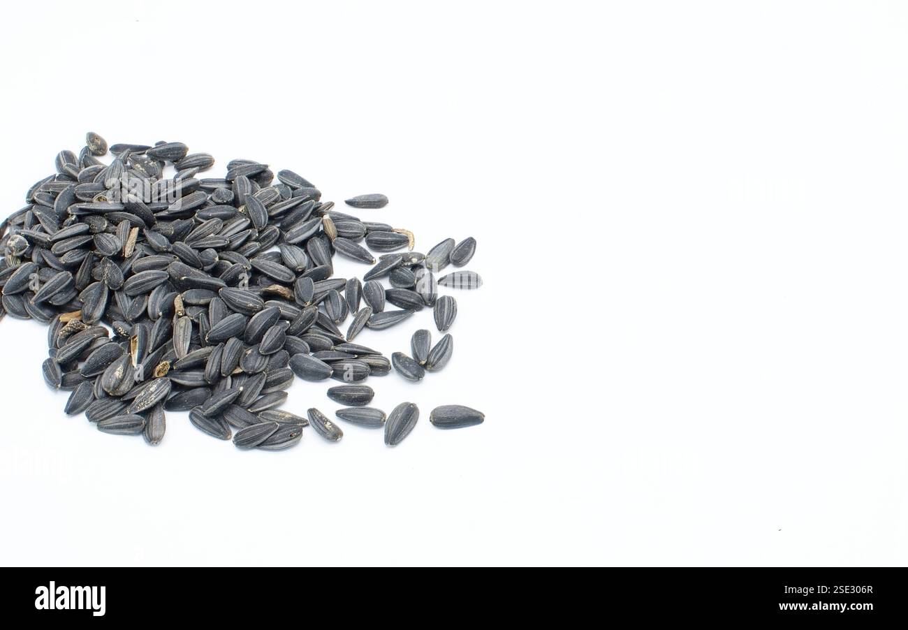 Les graines de tournesol à huile noire proviennent d'un cultivar de la plante Helianthus annuus, une culture annuelle, utilisée principalement pour la fabrication d'huile de cuisson et comme oiseau sauvage Banque D'Images