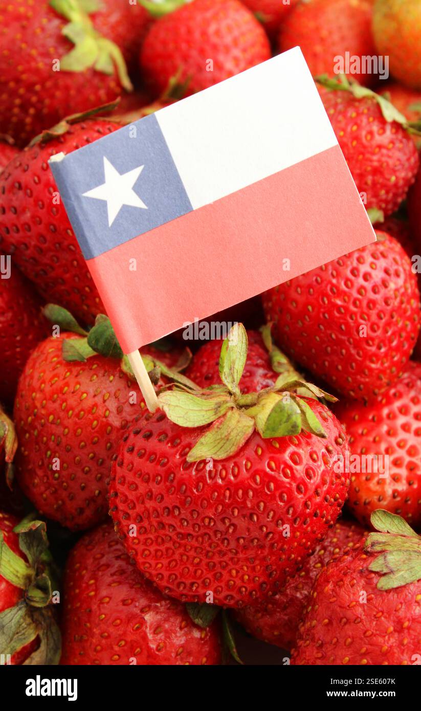 Délicieuses fraises rouges et mûres avec drapeau chilien - format vertical Banque D'Images