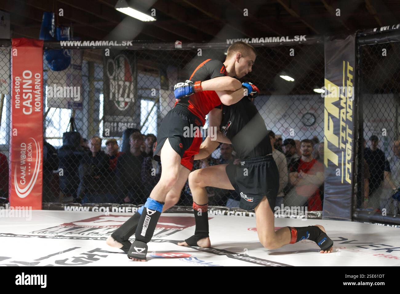 Deux hommes adultes se battent intensément dans l'anneau octogonal à MAMMAL 51 Ligue slovaque MMA à Nitra le 1er février 2025. Banque D'Images