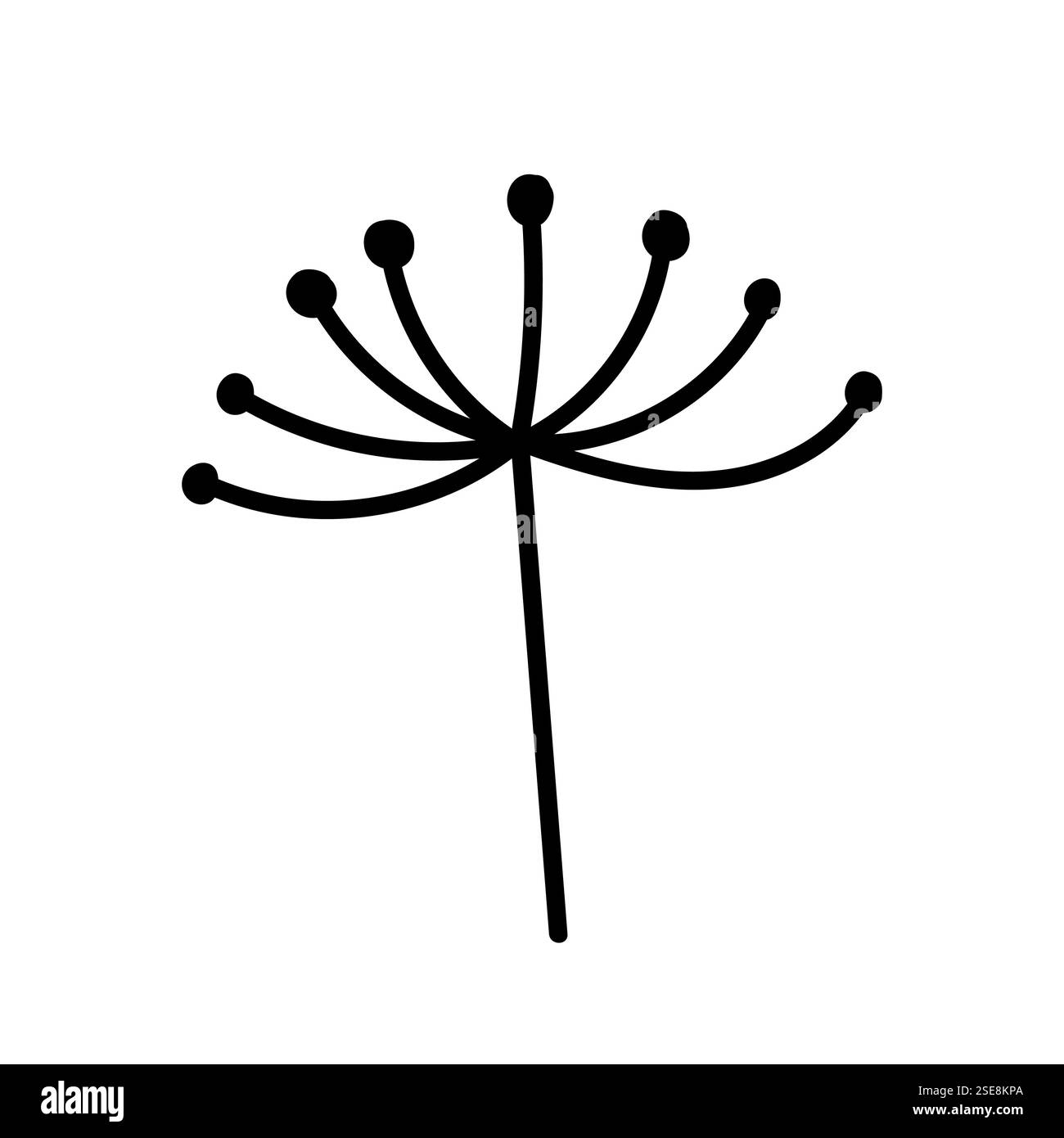 Dessin stylisé au trait noir d'une silhouette de fleur avec de longs pétales minces Illustration de Vecteur