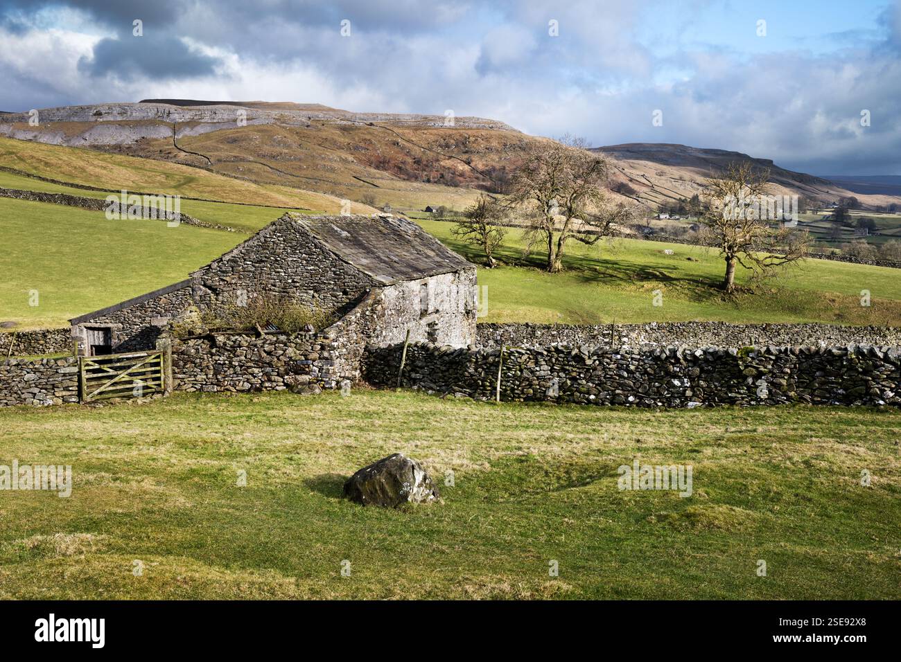 Une grange traditionnelle dans les champs, Crummackdale, Austwick, Yorkshire Dales National Park Banque D'Images