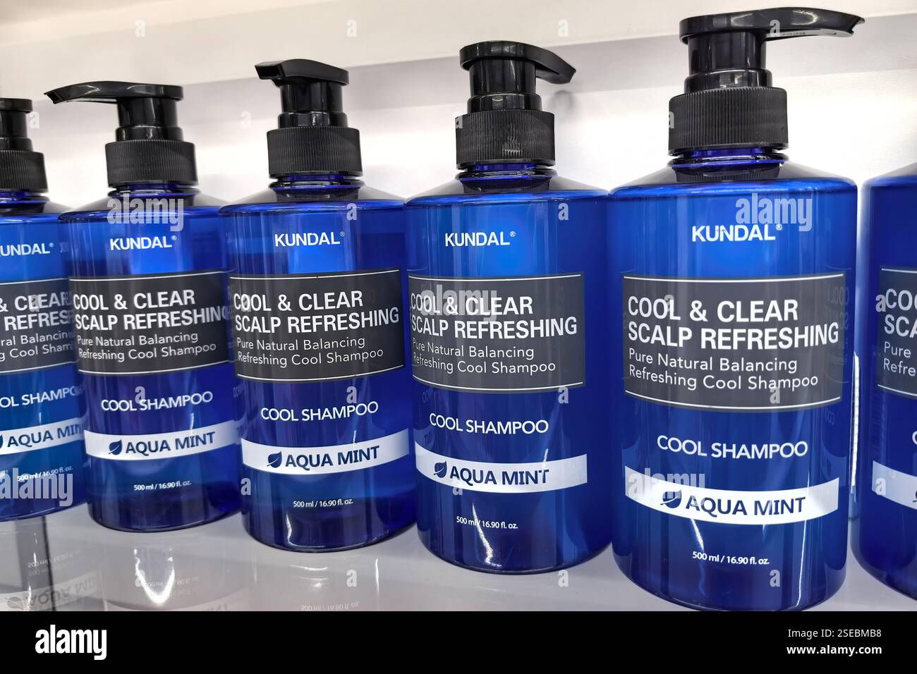 Bobruisk, Biélorussie - 2 février 2025 : les bouteilles de shampooing bleu vif sont soigneusement disposées sur une étagère de vente au détail, mettant en valeur leur étiquette rafraîchissante de menthe aqua. Banque D'Images