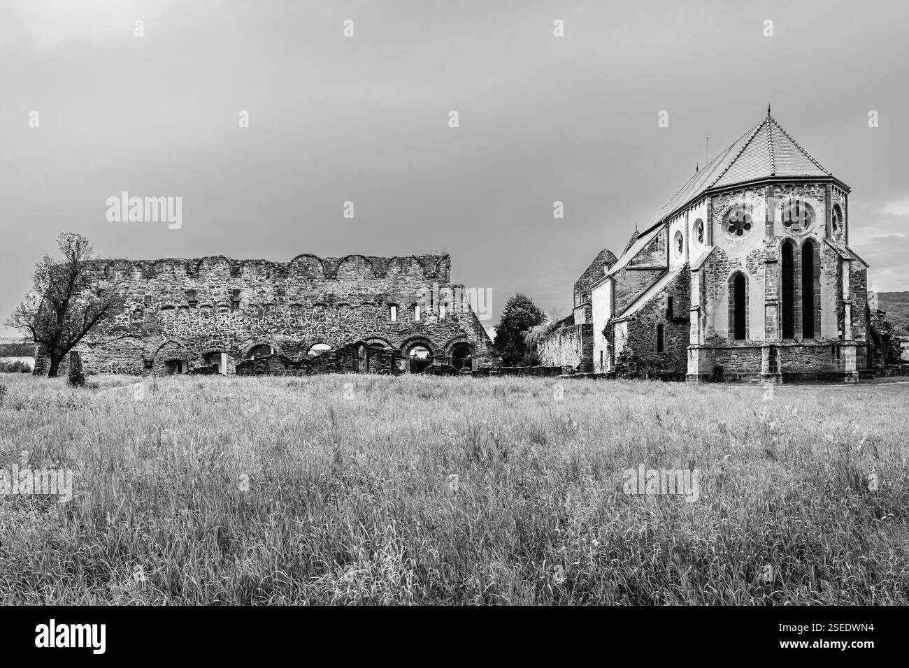 Ruines de l'abbaye cistercienne de Carta ; église de style gothique en Transylvanie, Roumanie ; monastère de Carta en noir et blanc Banque D'Images
