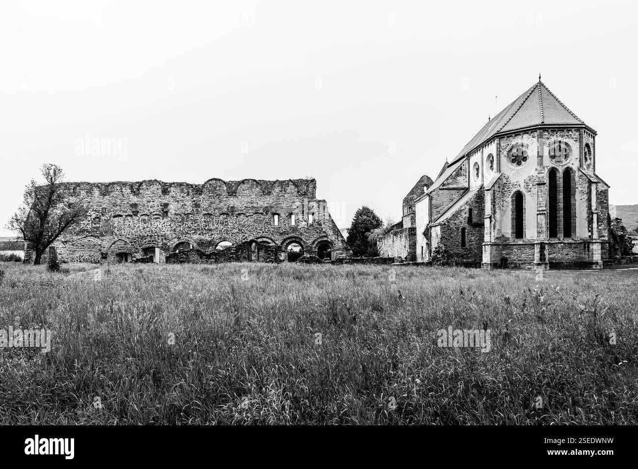 Ruines de l'abbaye cistercienne de Carta ; église de style gothique en Transylvanie, Roumanie ; monastère de Carta en noir et blanc Banque D'Images