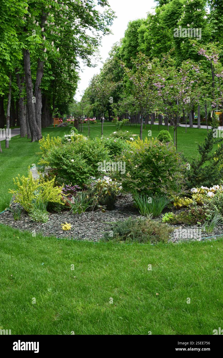 Kharkov, Ukraine, 14 mai 2024. Un jardin luxuriant et bien entretenu avec une variété de plantes et d'arbustes. Le jardin est entouré d'herbe verte vibrante et Banque D'Images