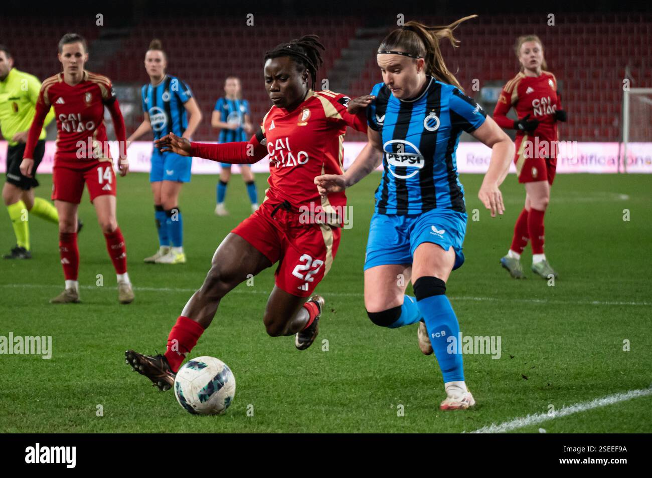Liège, Belgique. 08th Feb, 2025. Liège, Belgique, 08 février 2025 : Welma Fon (22 Standard Fémina de Liège) et Davinia Vanmechelen (25 Club YLA) se battent pour le ballon (duel) lors du match de Super League de Lotto entre Standard Femina de Liège et ClubYLA au stade de Maurice Dufrasne à Liège, Belgique (Martin Pitsch/SPP) crédit : SPP Sport Press photo. /Alamy Live News Banque D'Images