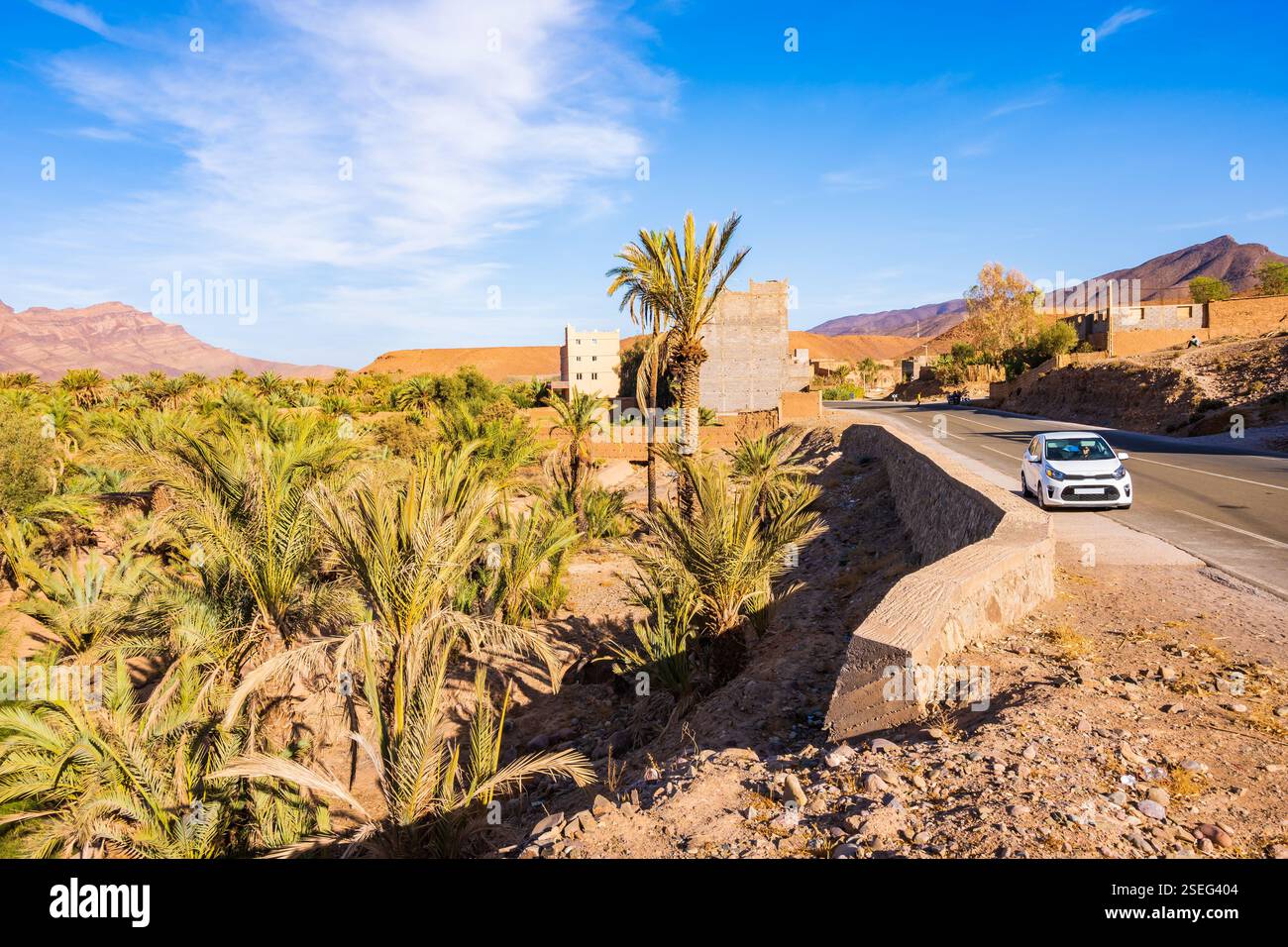 Location de voiture sur la route pittoresque dans l'oasis de palmiers verts de la ville d'Agdz avec des montagnes en arrière-plan, Maroc, Afrique du Nord Banque D'Images Location de voiture sur la route pittoresque dans l'oasis de palmiers verts de la ville d'Agdz avec des montagnes en arrière-plan, Maroc, Afrique du Nord Banque D'Images