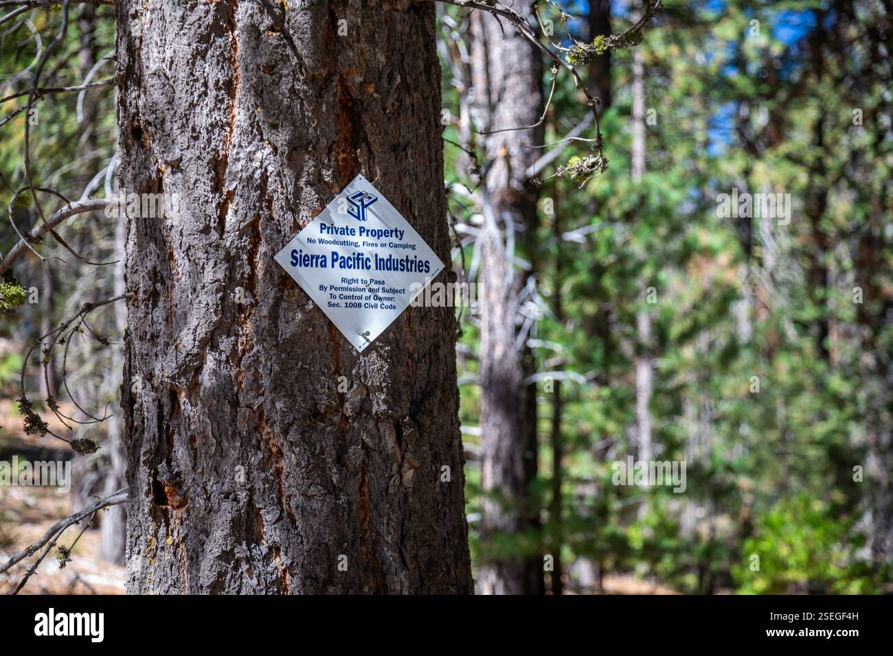 Tionesta, Californie - Un panneau sur un arbre adjacent à la forêt nationale Modoc indique que le terrain est la propriété privée de Sierra Pacific Indust Banque D'Images