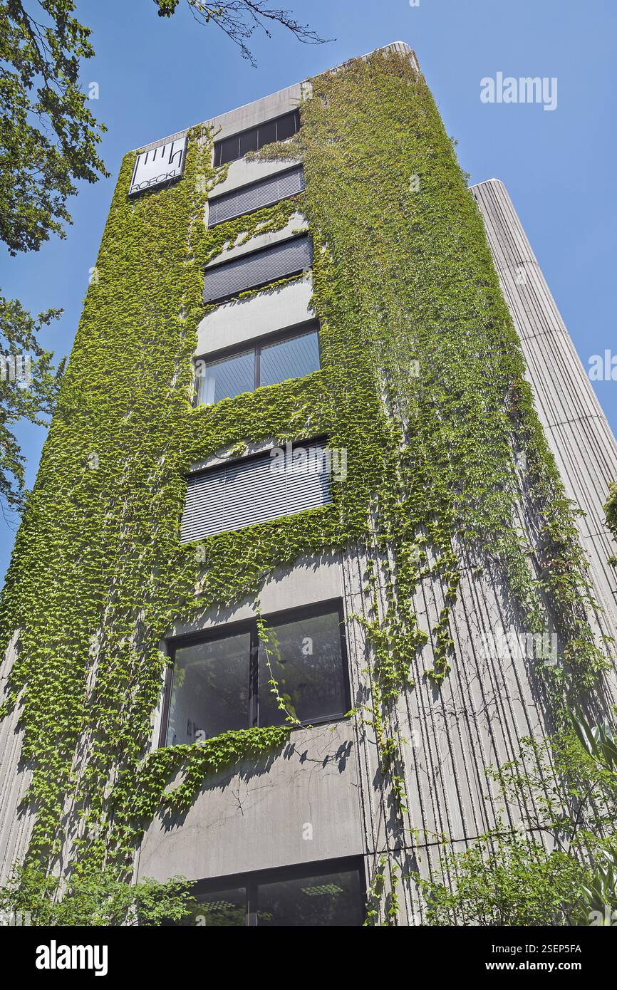 Bâtiment en béton Roeckl entrelacé avec lierre Boston (Parthenocissus tricuspidata), Roeckl Handschuhe & Accessoires GmbH & Co. KG, Isartalstrasse 49, Mun Banque D'Images