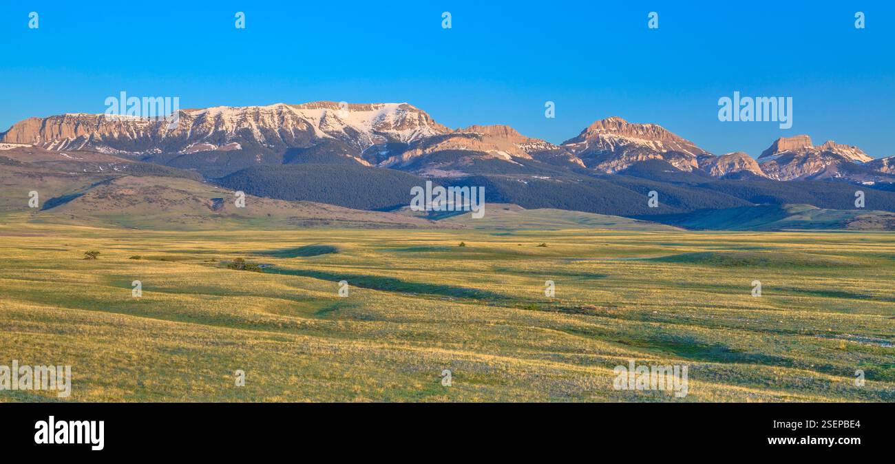panorama de sommets sur le front de montagne rocheux au-dessus de la prairie près de choteau, montana Banque D'Images