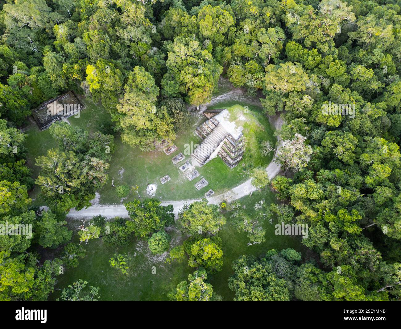 Temple à côté d'Estela 29, Tikal, Guatemala Banque D'Images
