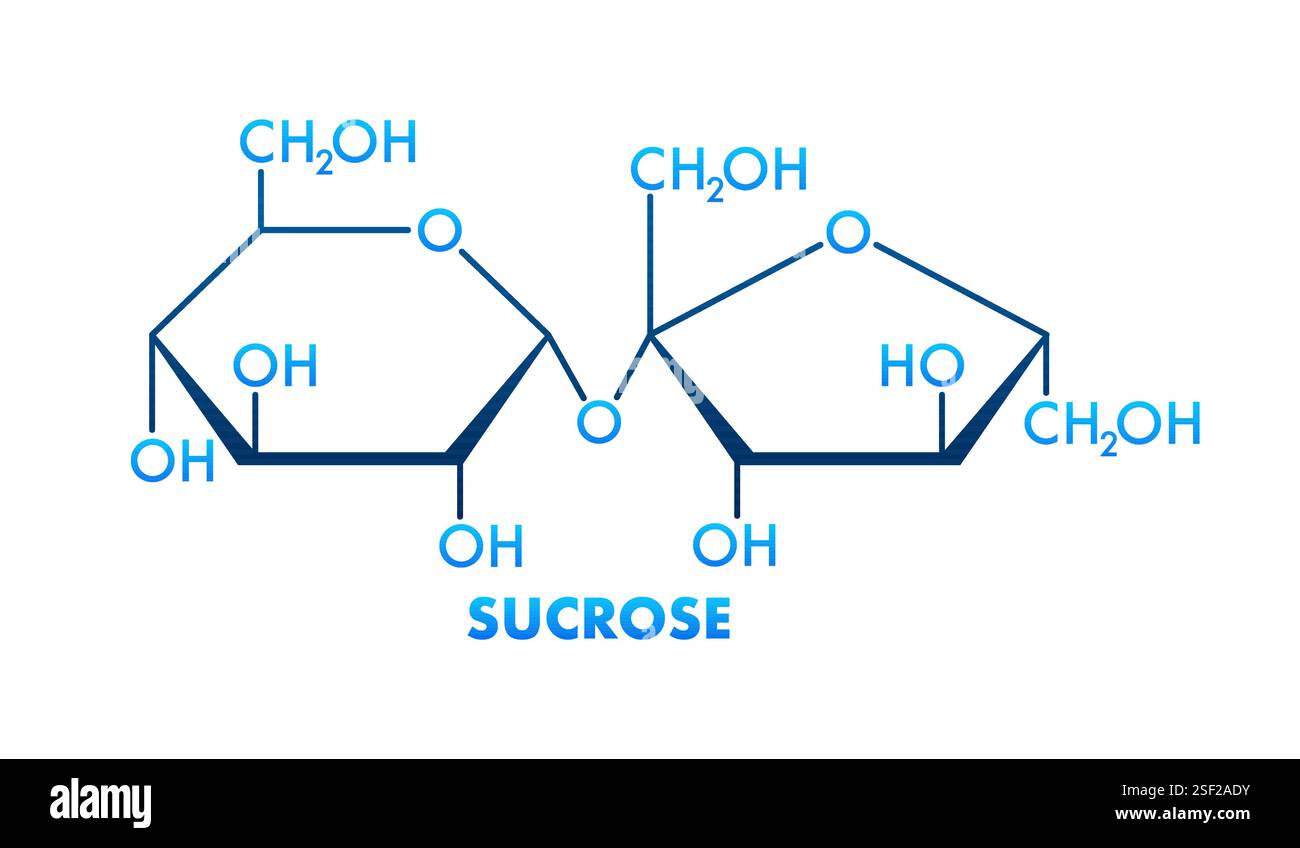 Formule squelettique de saccharose montrant du glucose et du fructose formant une liaison glycosidique Illustration de Vecteur