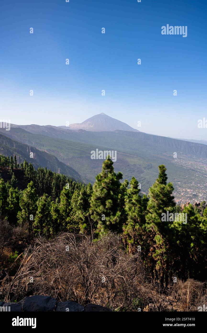 Une chaîne de montagnes avec une grande montagne en arrière-plan. Le ciel est clair et bleu. Les arbres sont verts et clairsemés Banque D'Images