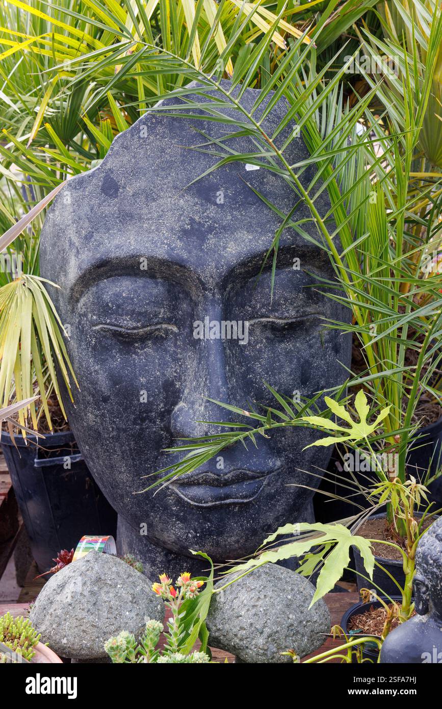 Visage dans la rocaille de jardin, pays de Galles, Royaume-Uni Banque D'Images