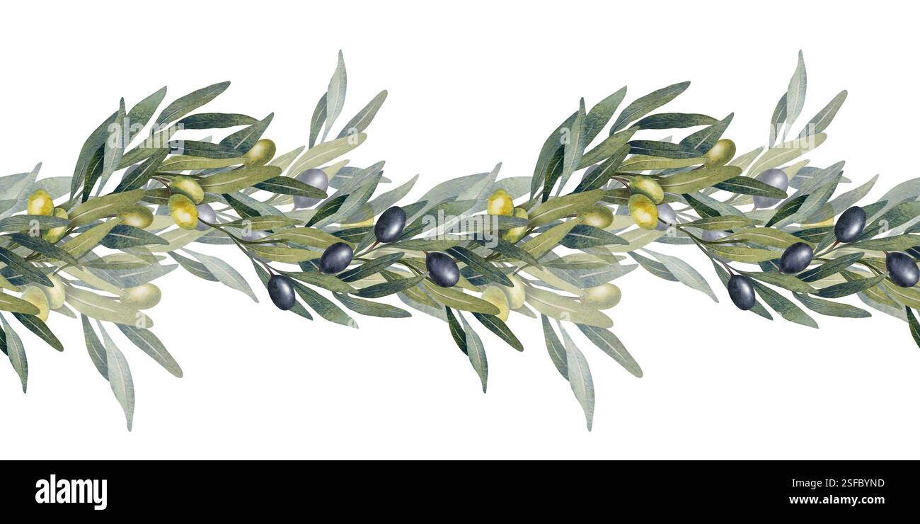Illustration à l'aquarelle dessinée à la main de branches d'oliviers avec des olives vertes et noires. Composition botanique naturelle avec des feuilles et des fruits. Parfait pour Banque D'Images