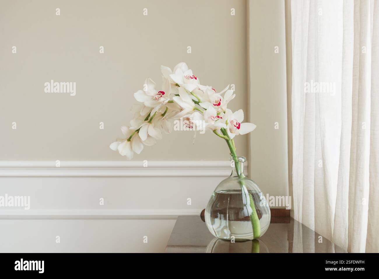Gros plan d'une orchidée de bateau blanche fleurie dans un vase en verre sur une commode en bois dans un salon Banque D'Images