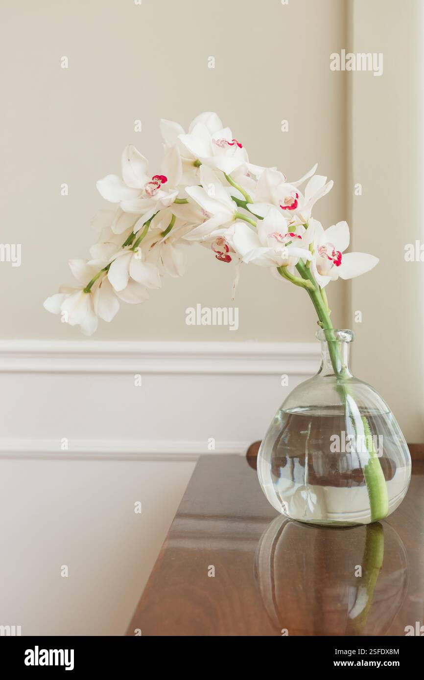 Gros plan d'une orchidée de bateau blanche fleurie dans un vase en verre sur une commode en bois dans un salon Banque D'Images