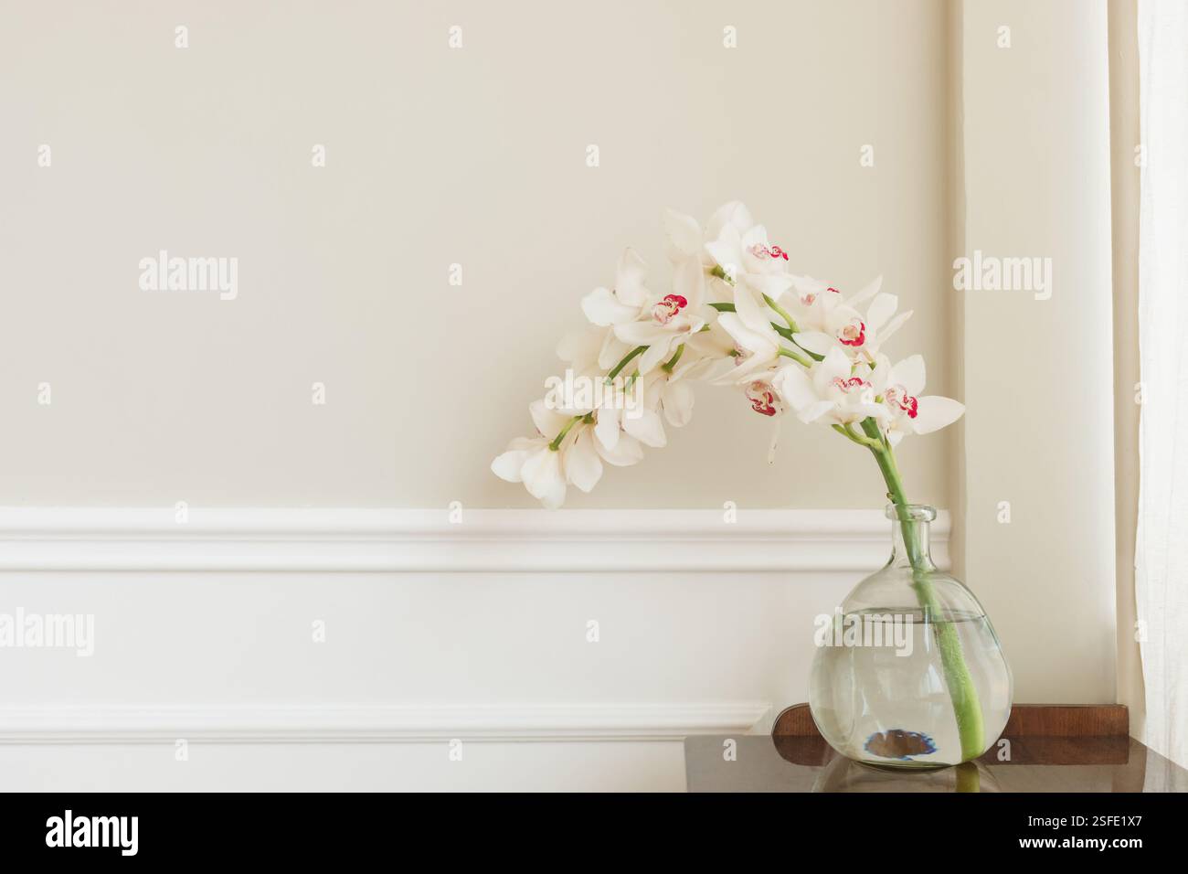 Gros plan d'une orchidée de bateau blanche fleurie dans un vase en verre sur une commode en bois dans un salon Banque D'Images
